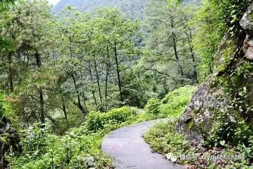 冰箱里的这些“宝贝”,或是白血病的源头,趁早管住嘴,别任性